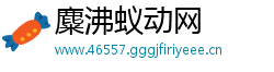 麋沸蚁动网